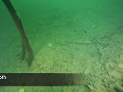 Ada Sungai di Bawah Laut, Mirip yang Disebutkan Al Quran