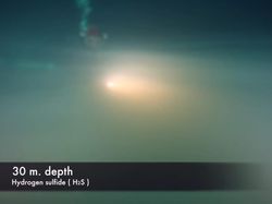 Ada Sungai di Bawah Laut, Mirip yang Disebutkan Al Quran