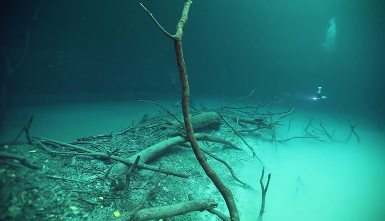 Sungai di bawah laut Cenote Angelita Sungai di bawah laut Cenote Angelita