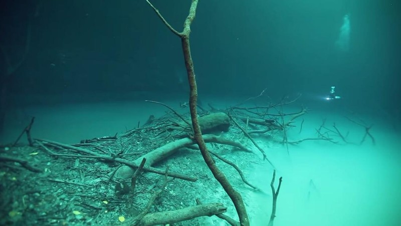 Sungai di bawah laut Cenote Angelita
