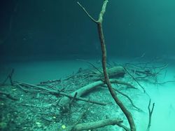 Ada Sungai di Bawah Laut, Mirip yang Disebutkan Al Quran