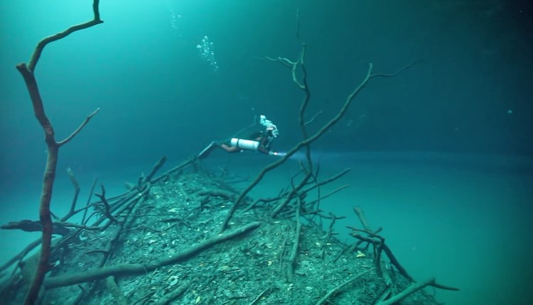 Sungai di bawah laut Cenote Angelita Sungai di bawah laut Cenote Angelita