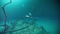 Di perairan ini, jika menyelam sampai kedalaman 30 meter, maka airnya akan berubah menjadi tawar. Foto: Screenshot YouTube AB TV