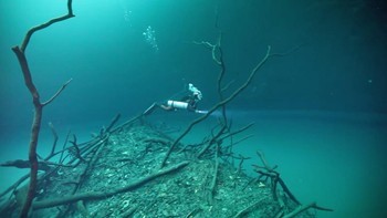 Selain itu, dijelaskan juga di dalam surat Al Furqan ayat 53 berbunyi, Dan Dialah yang membiarkan dua laut mengalir (berdampingan), yang ini tawar dan segar dan yang lain sangat asin lagi pahit, dan Dia jadikan antara keduanya dinding dan batas yang tidak tembus. Foto: Screenshot YouTube AB TV