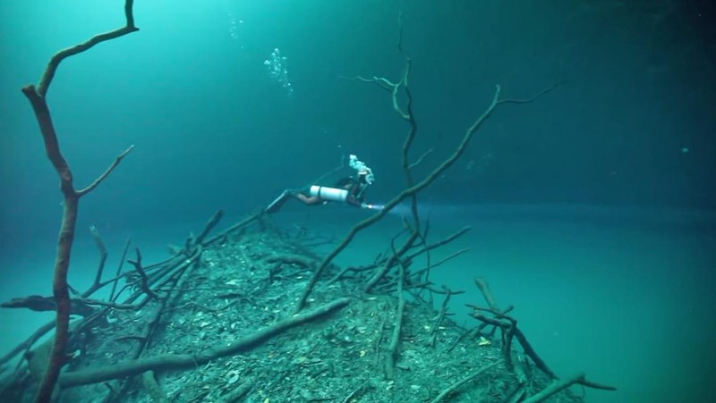 Sungai di bawah laut Cenote Angelita