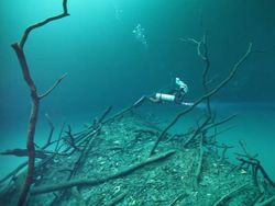 Ada Sungai di Bawah Laut, Mirip yang Disebutkan Al Quran