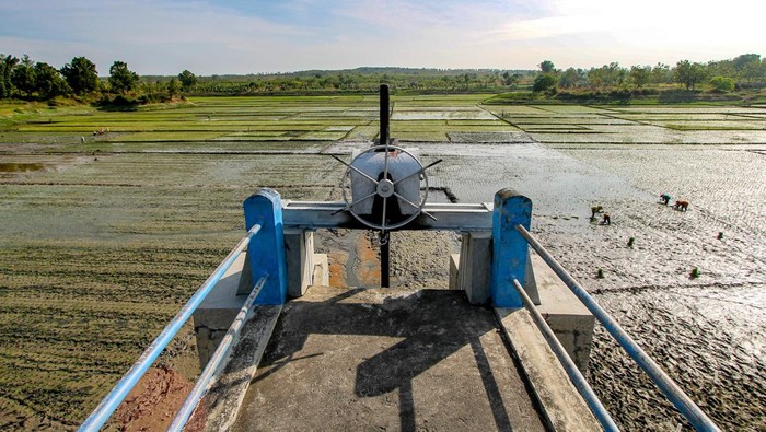Petani menanam padi di Waduk Perning, Jatikalen, Nganjuk, Jawa Timur, Jumat (14/7/2023). Saat musim kemarau waduk yang digunakan untuk irigasi lahan pertanian itu mulai mengering sehingga dimanfaatkan warga setempat untuk menanam padi. ANTARA FOTO/Muhammad Mada/hp.