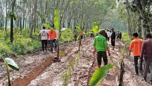 Pemprov Lampung Tak Punya Uang Perbaiki Jalan Rusak Ditanami Pohon Pisang