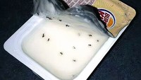 Saus cocolan ini isinya dipenuhi serangga hingga semut yang bikin tak nafsu makan. Foto: BoredPanda/Site News