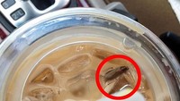 Beli es kopi susu di salah satu restoran, malah gratis seekor kecoak yang masih hidup di dalam gelas. Foto: BoredPanda/Site News
