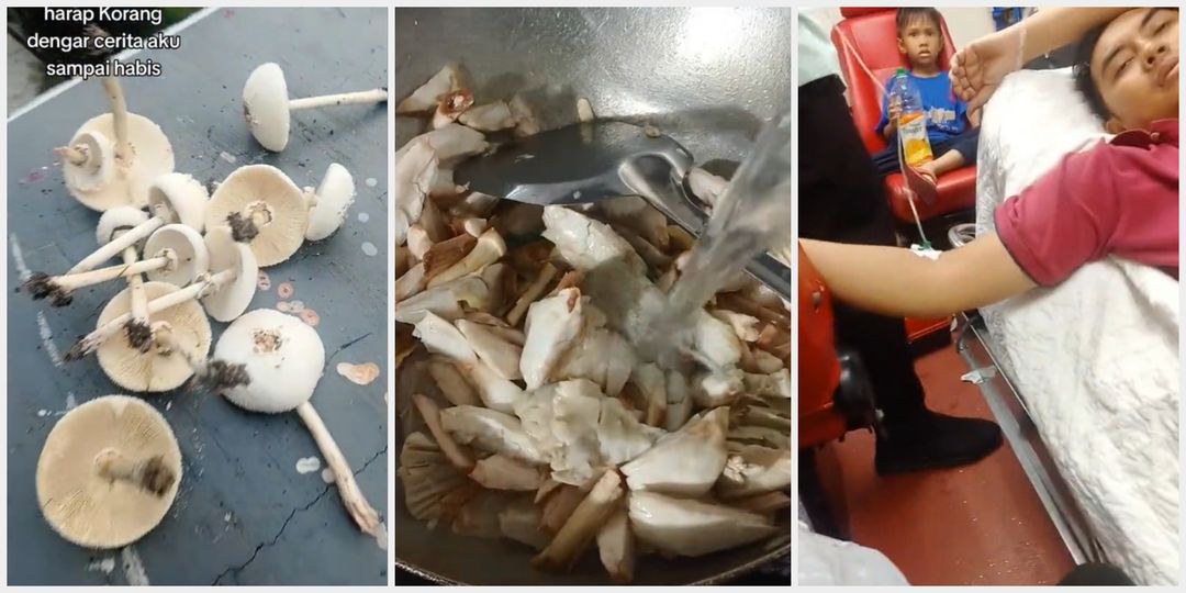 Satu keluarga keracunan makan jamur dari depan rumah