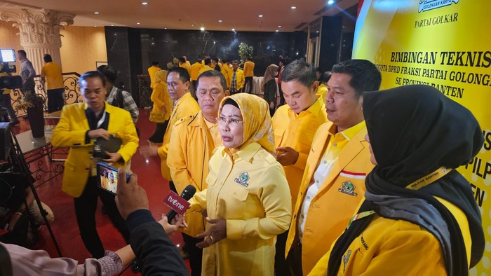 Ketua DPD Partai Golkar Provinsi Banten Ratu Tatu Chasanah
