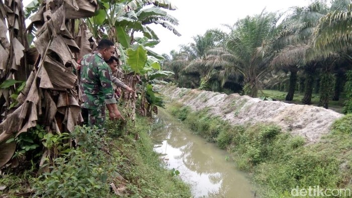 Lokasi mayat wanita ditemukan dalam parit bekoan di Asahan.