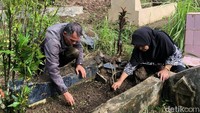 Sepasang suami istri sedang membersihkan makam anaknya, sebelumnya ia menduga makam anaknya ikut terkena longsor yang melanda TPU itu (M. Afdal Afrianto/detikSumut)