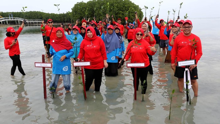 Tanam Mangrove Demi Menjaga Lingkungan Seimbang Dalam rangka The Human Safety Net & Sustainability Action 2023 yang digelar Generali mengusung inisiatif