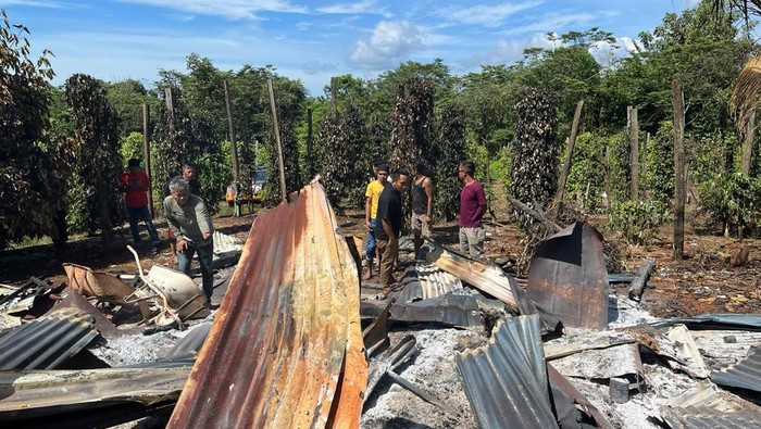 2 buruh petik merica di Luwu Timur tewas dalam kebakaran rumah kebun. Dokumen Istimewa