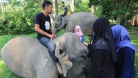 Keberadaan gajah jinak yang ditempatkan di CRU dengan kelengkapan program pengelolaan habitat dan populasi selain sebagai mitigasi konflik satwa gajah liar dengan manusia juga sebagai tempat wisata yang mengedukasikan masyarakat untuk mengenal lebih dekat tentang kehidupan gajah.  