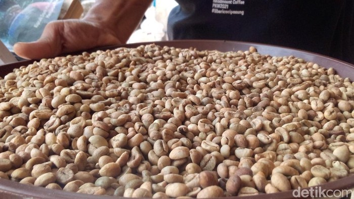 Biji kopi liberika khas Kuningan