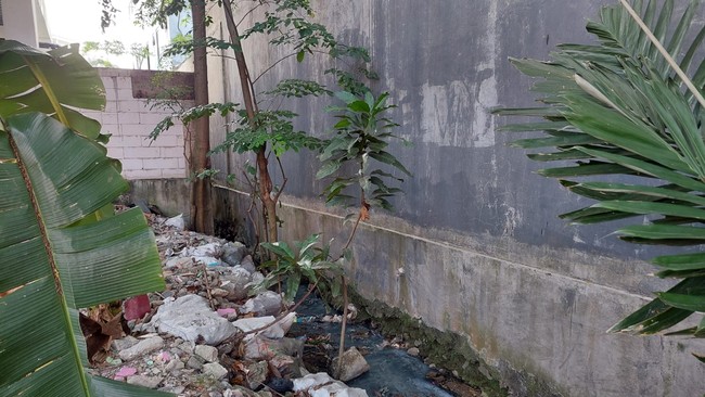 Deretan Rumah yang Viral Sepanjang 2023