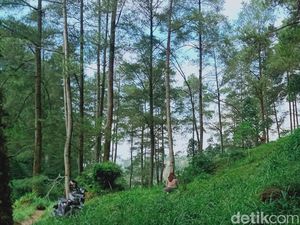 Cerita Kampung Siluman Klaten Disapu Erupsi, Hanya 2 Orang Selamat