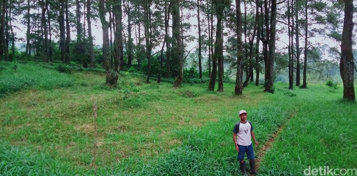 Kampung Siluman di lereng Merapi di Kemalang, Klaten. Foto diunggah Minggu (16/7/2023).