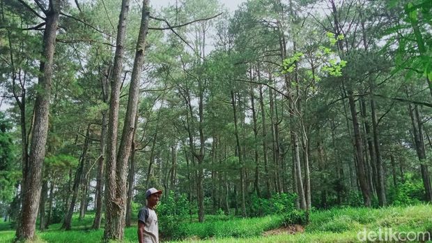 Kampung Siluman di lereng Merapi di Kemalang, Klaten. Foto diunggah Minggu (16/7/2023).