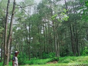 Melacak Jejak Kampung Siluman Klaten, Desa yang Hancur Disapu Erupsi Merapi