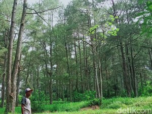 Melacak Jejak Kampung Siluman Klaten, Desa yang Hancur Disapu Erupsi Merapi