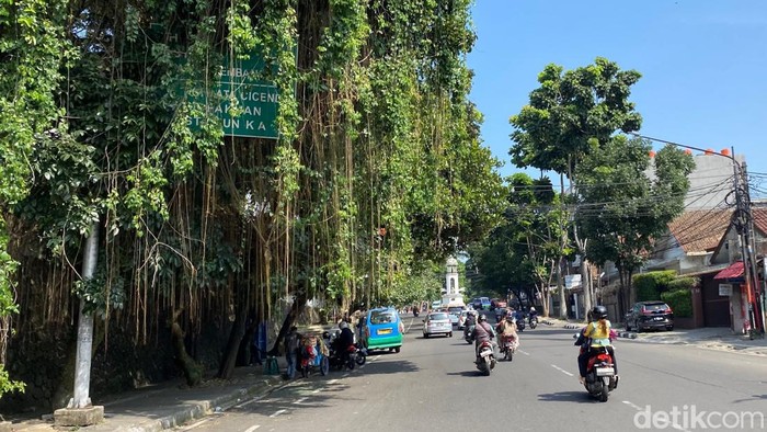 Papan penunjuk jalan di Kota Bandung tertutup pepohonan
