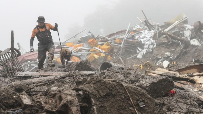 Penampakan Parahnya Banjir dan Longsor yang Melanda Korea Selatan A rescue worker with a dog searches for people at the site of a landslide caused by heavy rain in Yecheon, South Korea, Sunday, July 16, 2023. Days of heavy rain triggered flash floods and landslides and destroyed homes, leaving scores of people dead and forcing thousands to evacuate, officials said Sunday. (Yun Kwan-shick/Yonhap via AP)