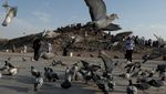 Potret Gunung di Madinah yang Disebut Ada di Surga