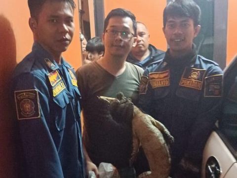 Warga dikagetkan dengan biawak di lemari pakaian di Kota Bogor.