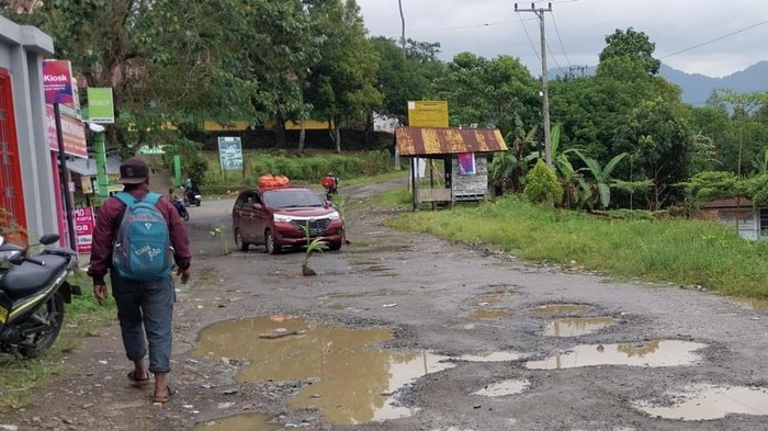 Warga tanam pohon pisang di jalanan rusak di Sinjai, Sulsel.