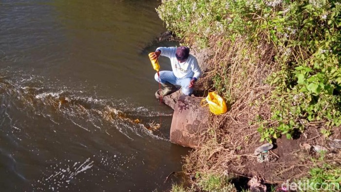 air lindi cemari persawahan dan sungai di Banyuwangi