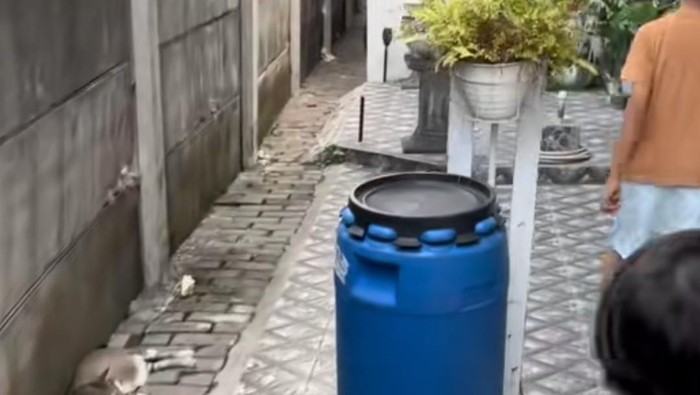 Akses Rumah Cluster Ditembok