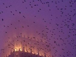 Foto Bangunan Menyeramkan Bak di Film Horor