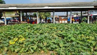 Kemudian di sudut-sudut terminal juga terlihat banyak pedagang kaki lima yang menjajakan dagangannya.