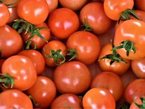 Ini 5 Jenis Sayuran yang Nutrisinya Justru Meningkat Saat Dimasak