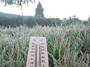 Penampakan Embun Es di Dieng, Suhu Minus 3,5 Derajat Celcius!