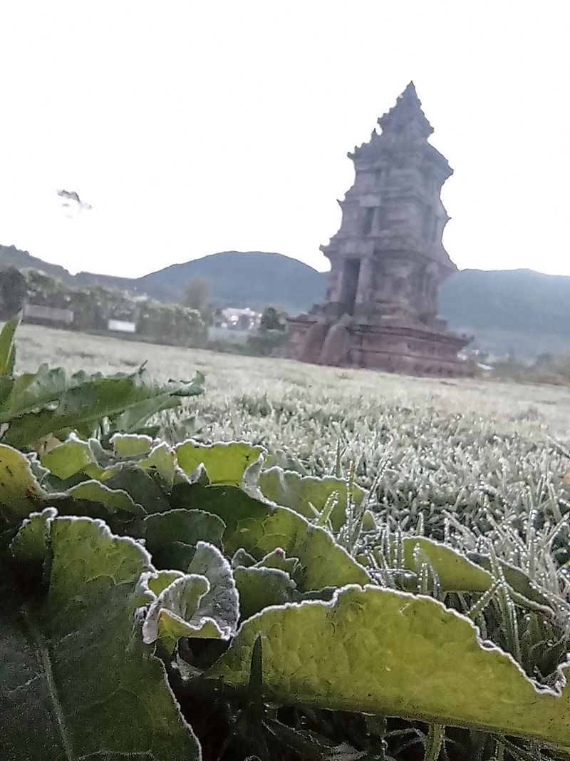 Fenomena embun es di kompleks Candi Arjuna, Dieng, Banjarnegara, Jawa Tengah, Senin (17/7/2023) pagi.