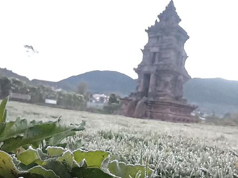 Fenomena embun es di kompleks Candi Arjuna, Dieng, Banjarnegara, Jawa Tengah, Senin (17/7/2023) pagi.