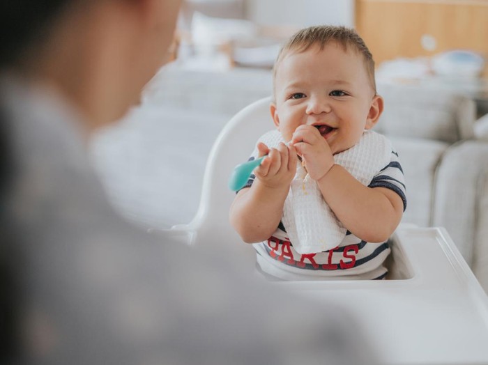 Jadwal MPASI Ideal Bayi 6 Bulan hingga 1 Tahun
