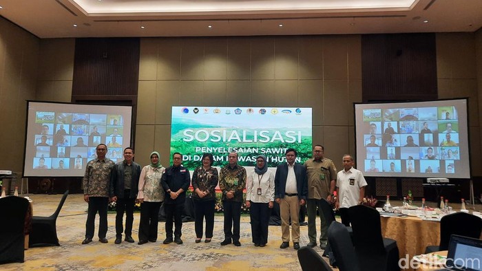 KLHK menyoroti aspek perizinan para pelaku usaha kebun kelapa sawit di kawasan hutan. KLHK meminta para pengusaha untuk mengikuti UU yang berlaku. (Annisa AR/detikcom)