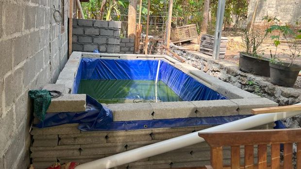 Meski hanya bisa duduk di kursi roda, Parmi mulai budidaya ikan untuk kehidupan dia dan ibunya. Parmi bisa budidaya ikan di rumahnya berkat donasi sahabat baik.