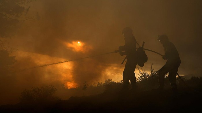 Penampakan Kobaran Api Lalap Hutan di Pulau La Palma Spanyol Kebakaran melanda hutan di Pulau La Palma, Spanyol, Minggu (16/7/2023) waktu setempat. Pihak berwenang mengatakan kebakaran hutan ini terjadi di tengah Eropa berjuang mengatasi gelombang panas.