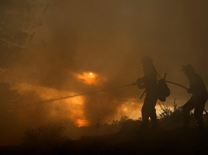Gelombang Panas Menerjang, Eropa hingga Asia Terpanggang