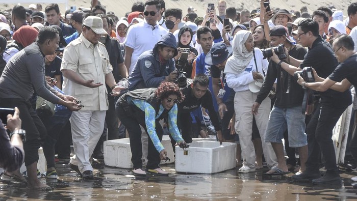 Prabowo Bertemu Susi Pudjastuti, Bahas Apa? Menteri PertahananPrabowo Subianto (kedua kiri) didampingi Ketua Umum Pandu Laut Nusantara atau mantan Menteri Kelautan dan Perikanan (KKP) Susi Pudjastuti (ketiga kiri) saat melepasliarkan tukik di Pesisir Pantai Barat, Kabupaten Pangandaran, Jawa Barat, Senin (17/7/2023). Dalam kunjungannya Prabowo Subianto memberikan bantuan 20 mesin kapal untuk nelayan dan melepasliarkan ratusan tukik di pesisir Pantai Pangandaran. ANTARA FOTO/Adeng Bustomi/foc.
