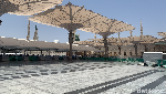 Potret Raudhah, Taman Surga di Masjid Nabawi yang Selalu Diantre Jemaah