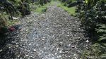 Sampah Penuhi Aliran Kali Sepanjang 1 Km di Tambun