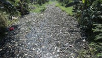 Sampah-sampah tersebut berasal dari pengerukan lumpur di Perumahan Puri Cendana.  